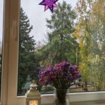 Šiaulių Valdorfo iniciatyvos mokykla Šiaulių Valdorfo iniciatyvos mokykla