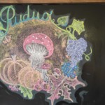 Šiaulių Valdorfo iniciatyvos mokykla Šiaulių Valdorfo iniciatyvos mokykla