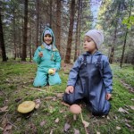 Šiaulių Valdorfo iniciatyvos mokykla Šiaulių Valdorfo iniciatyvos mokykla