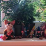 Šiaulių Valdorfo iniciatyvos mokykla Šiaulių Valdorfo iniciatyvos mokykla