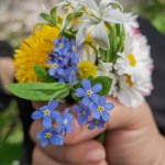 Šiaulių Valdorfo iniciatyvos mokykla Šiaulių Valdorfo iniciatyvos mokykla